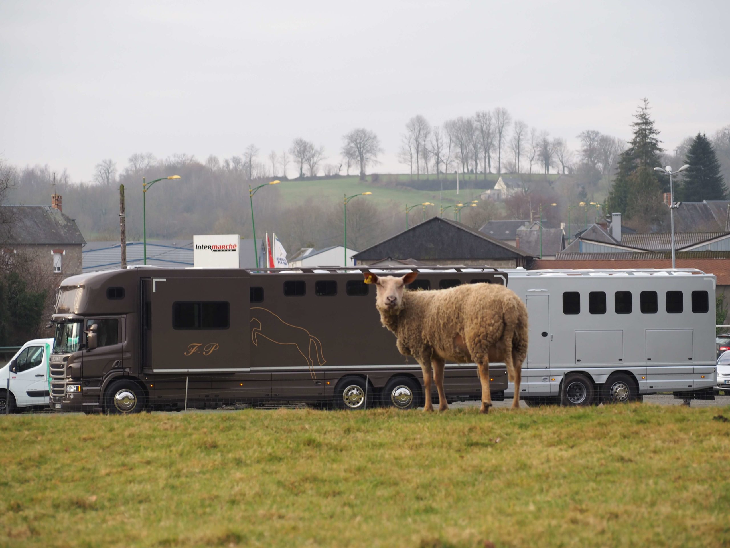 Camion Chardron pour vos chevaux