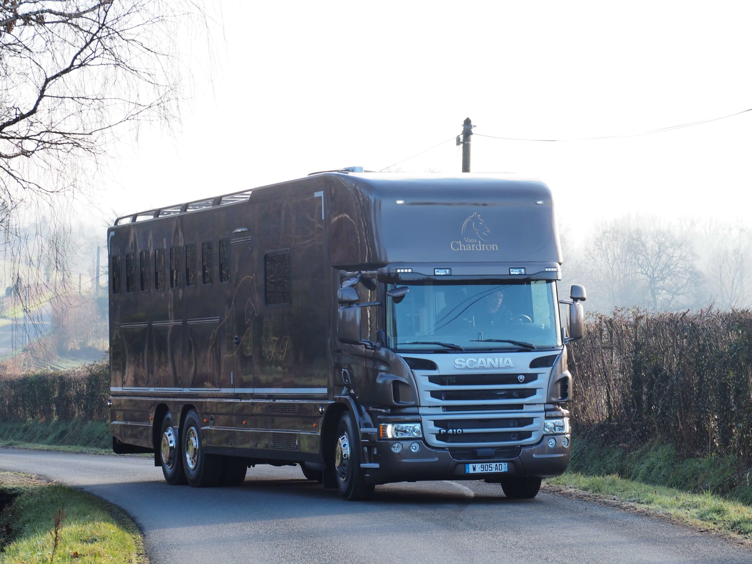 Camion chevaux confort