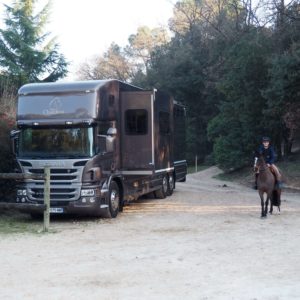 PL chevaux idéal pour le CSO