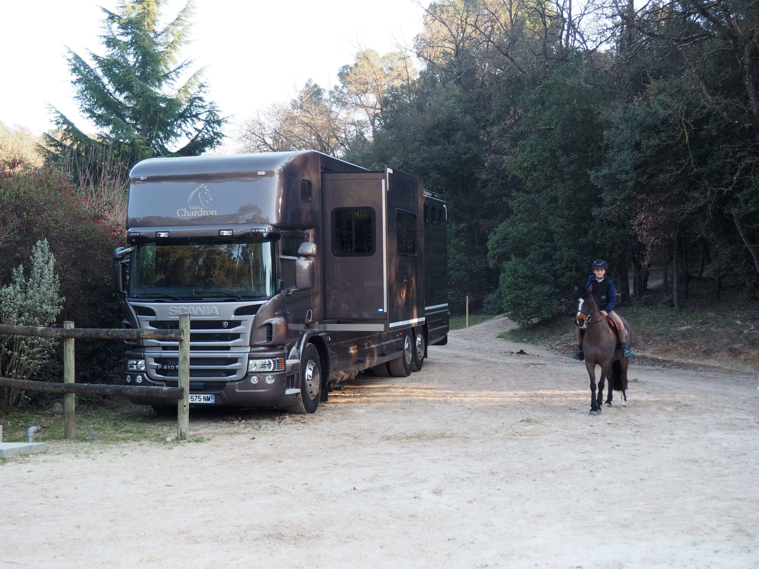 PL chevaux idéal pour le CSO