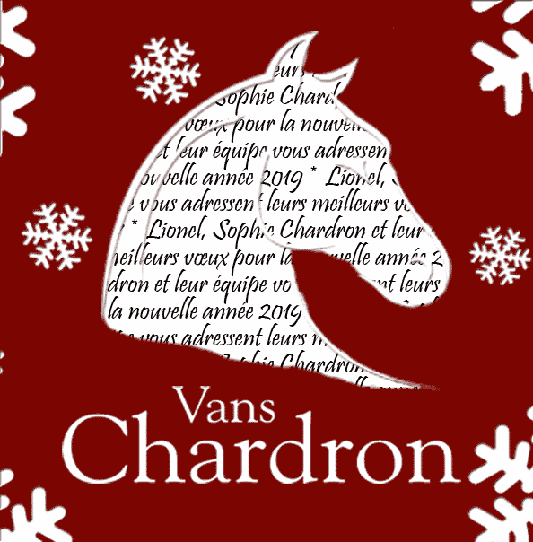 Joyeuses fêtes de fin d'année des vans Chardron