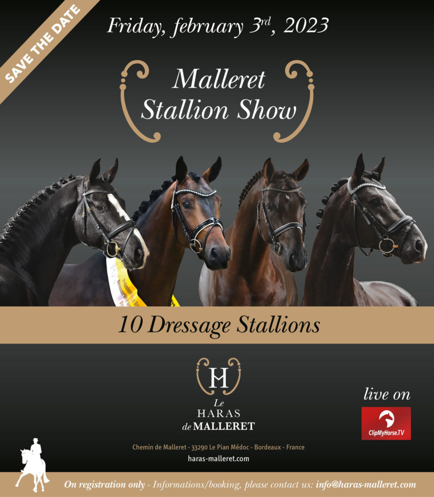 chardron-le-haras-de-malleret